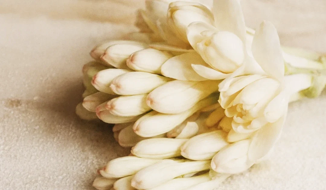 Tuberosa: perché su alcune pelli funziona e su altre no