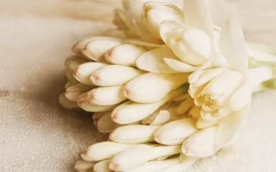 Tuberosa: perché su alcune pelli funziona e su altre no