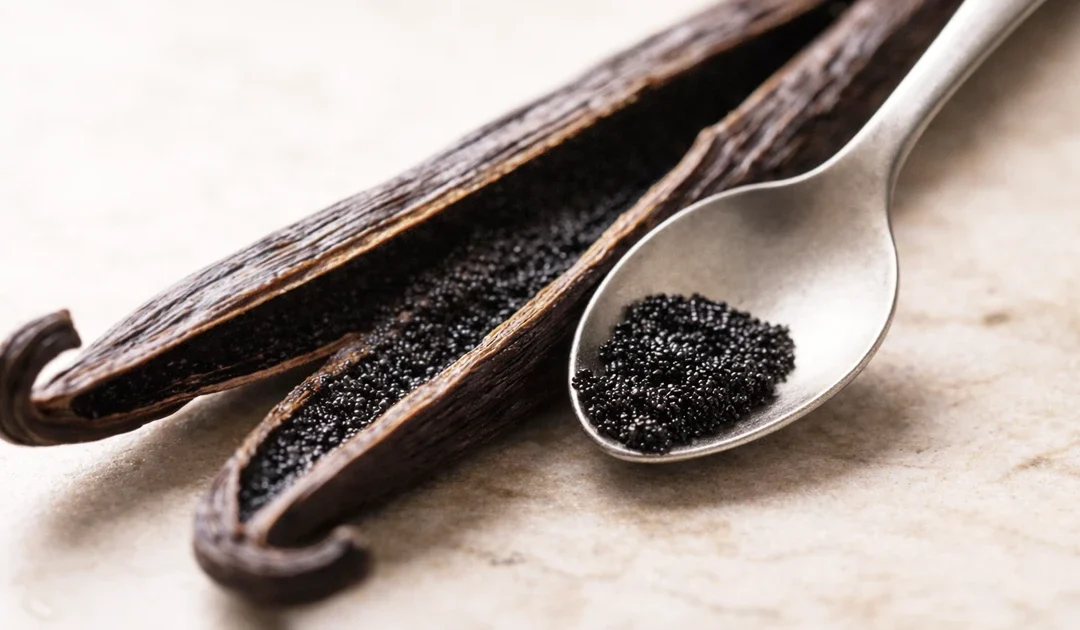 Profumi alla Vaniglia: guida completa tra storia, varietà e fragranze di nicchia