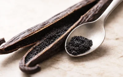 Profumi alla Vaniglia: guida completa tra storia, varietà e fragranze di nicchia