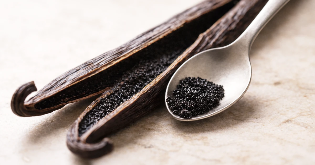 Profumi-alla-Vaniglia-guida-completa Profumi alla vaniglia