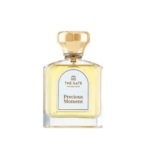 Precious Moment The Gate