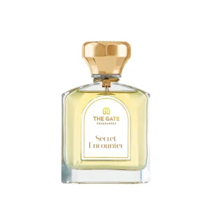 Secret Encounter The Gate