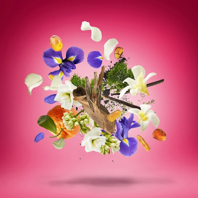 Piramide Olfattiva Coro Xerjoff